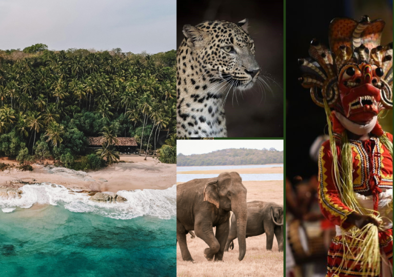 Exclusive Sri Lanka
